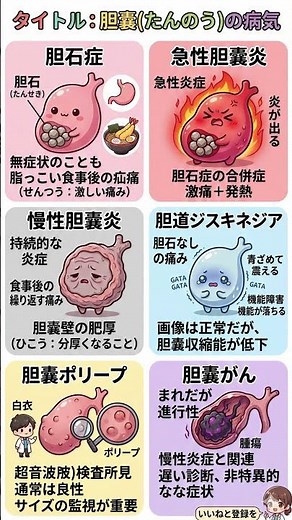 【お腹の右上が痛い】放置厳禁！「胆嚢（たんのう）の病気」徹底比較ガイド｜胆石から胆嚢がんまで、見逃してはいけない症状と特徴をプロが図解解説