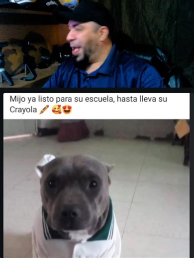 Calificando Memes: Risas y Sorpresas