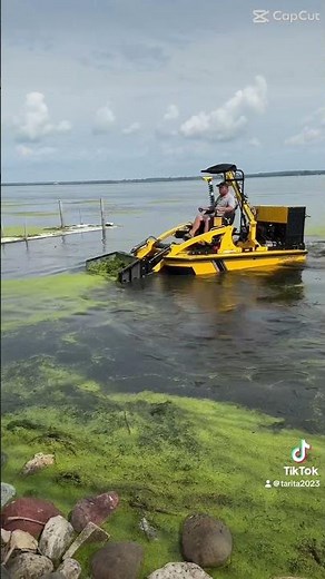 Efficient Duckweed Removal with the Weedoo Boat