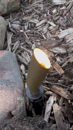 Gardenreet Spotlight: How to Add Curb Appeal with Tree Lighting! ...