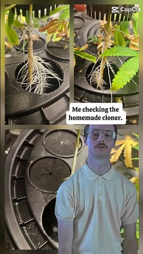 Funny jokes about plants. garden humor for entertainment.