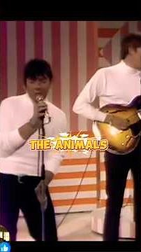 the Animals" don't bring me down " #rock #music #60hits #classicrock