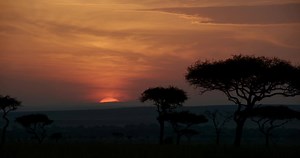 July 19, 2019. #TheLionKing | The Lion King