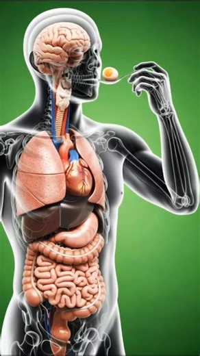 Egg power #shortvideo