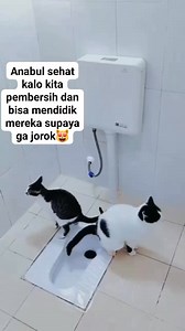 1.4K views · 7K reactions | Kata siapa mereka jorok???bisa ko mereka menyukai kebersihan.... Peluk cium dan doa terindah untuk anabul2 jalanan di seluruh dunia semoga kalian selalu sehat, kenyang meski dr sisa2, bahagia meski ta bertuan dan dijauhkan dari manusia2 jahat #catlover #fyp #pedulikucingjalananaterlantar #kucingviral #mendidikkucing | Melly Rosana | Facebook