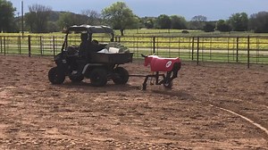 Stride by Stretch roping dummies. Used maybe 5 times in the last year, bought new. One, eight, zero, zero.00. Located in east TX, buyer pays shipping or pick up here. | Chad Mathes Roping