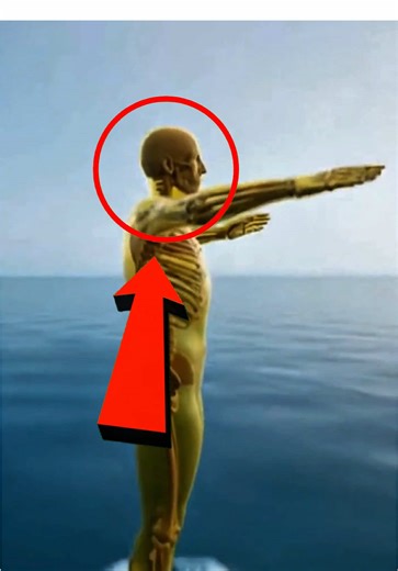 What Happens When Humans Encounter Orcas in the Ocean?