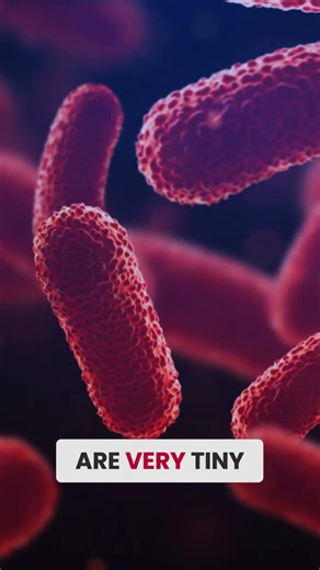 How Nanoparticles Could Change Medicine | Ryan Pearson