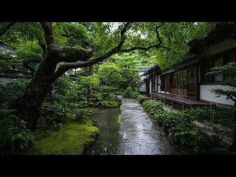 Continuous Rain Sounds for Sleeping All Night Deep Sleep Rain Ambience