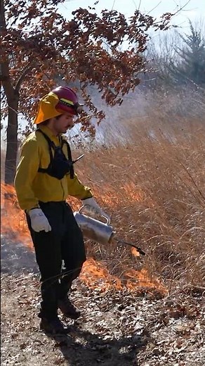 Top 3 Things: Forestry and Natural Resources at Purdue