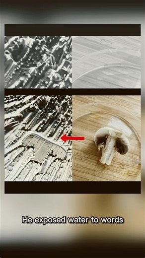 Water exposed to LOVE vs HATE — the crystals are impossible to ignore | Dr. Emoto Experiment