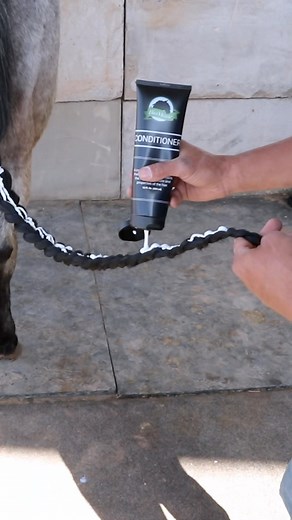 Conditioning the tail! When and how to do it ✅ #horses #equine #grooming #maneandtail #reels | BioMane Products