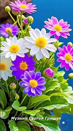 Самая красивая мелодия -для души ,,САМАЯ НЕЖНАЯ,, #красиваямузыка #flowers #love #музыкальность