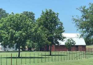 Ten Ways to Acknowledge God Honorably and Biblically