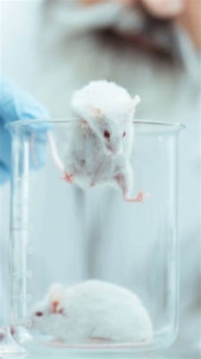 पालतू सफेद चूहे की अनोखी कहानी ||जो इंसानों जैसा सोचता है || #viral #reels #viralvideo #animals