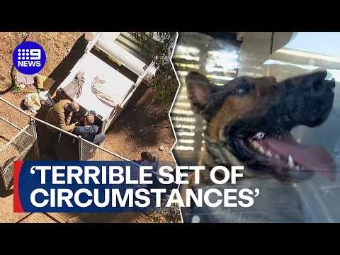 Young man dies after suspected dog attack on rural property | 9 News Australia
