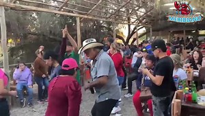 3.4K views · 53 reactions | #MariscosMeridiano呂撚 + #LaNuevaEra 拾拾 | Mariscos Meridiano | Facebook