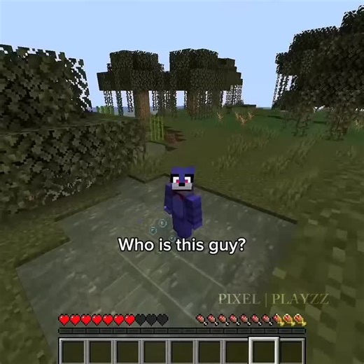 The best Trapper #minecraft #pvp