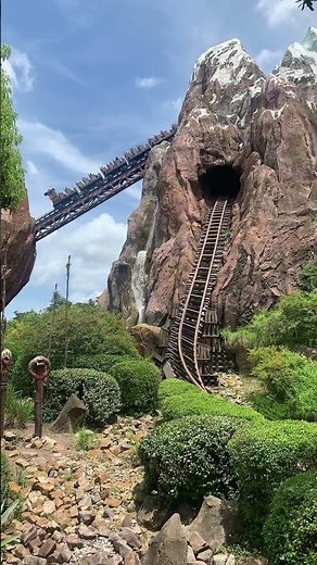 Expedition Everest - Walt Disney World (Animal Kingdom)