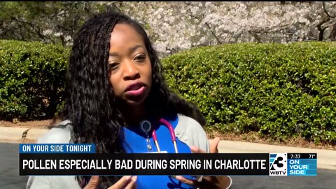 Sneezing nonstop? Here’s when tree pollen will finally ease in Charlotte region