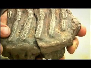 Alice Roberts Digging For Britain trailer BBC Two