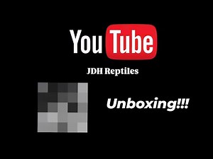 Unboxing a new Ball Python Project...