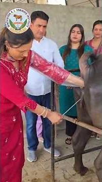 #AnimalHusbandry #DairyFarming #LivestockFarming