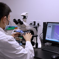 Video: Generation of a Mouse Artificial Decidualization Model with Ovariectomy for Endometrial Decidualization Research