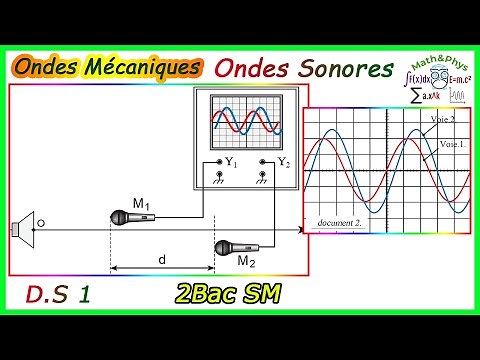 Periodic Progressive Mechanical Waves - Sound Waves - 2 Bac SM - [Exercise 5]