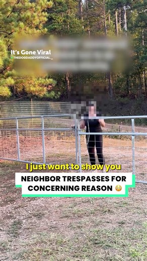 She showed up begging to 'touch' my dogs 😳 | IGV