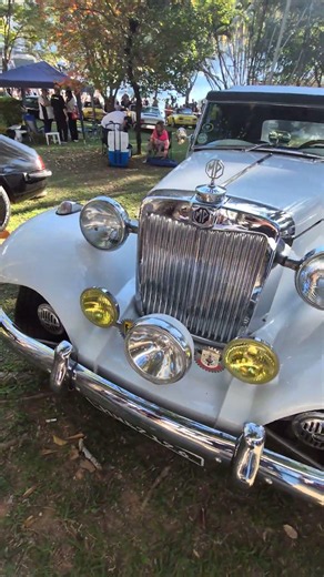 Eu nem tinha nascido com esses carros Águas de Lindóia