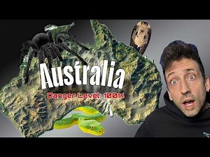 Here's Every Dangerous Animal In Australia!