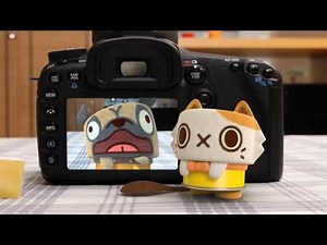 [CANIMALS] Season 1 EP18 Can did Camera / 울리를 구해라