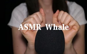 【Whale】强烈且快速的手部触发（无人声）