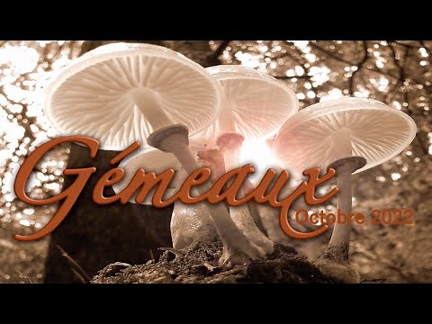 GEMEAUX Octobre 2022 ~ "Un mois majeur !"