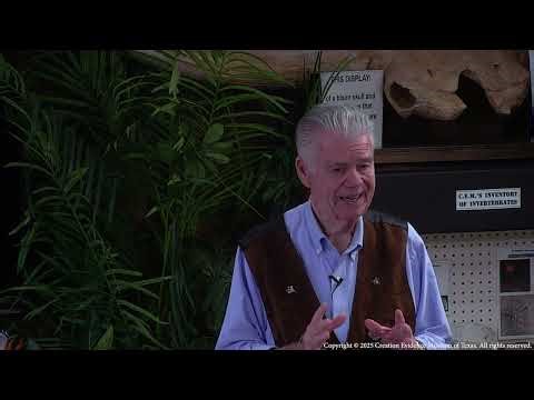 How did things get started?