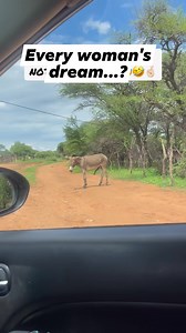 10K reactions · 896 shares | Every woman's dream...? #everyonehighlightsfollowers #nonfollowersviewers #facebookpost2024 #viralvideochallenge @highlight | Lee Muvaka | Facebook