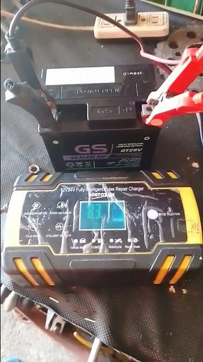 12 v,24 v fully intelligent pulse Repair charger#battery #12vdclight #chargers #