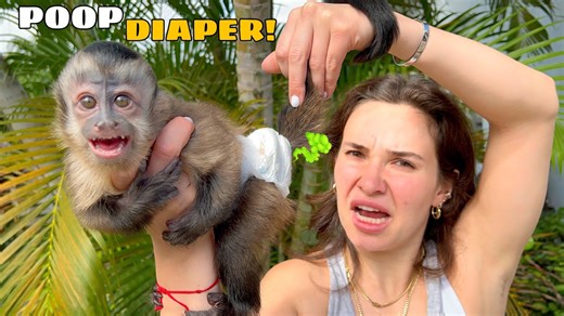 What happened during baby monkey diaper change shocked us