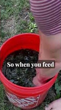 The 5 Core Inputs of JADAM (Explained Simply)