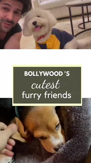 What is better than coming back to a cute and cuddly pet? Well, here...