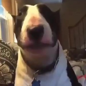 9.8K views · 665 reactions | Walter | Walter | Facebook