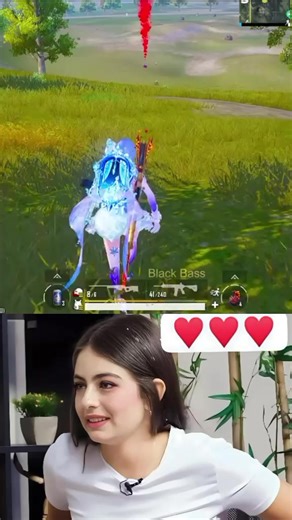 Understanding the Key Differences Between HH and EE