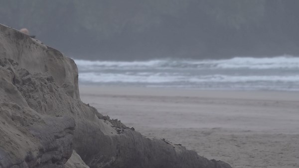 Woman nearly swept away on Cannon Beach during king tides season