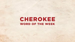 449K views · 5.9K reactions | At the heart of Native American Heritage Month is the recognition that all people deserve fairness, respect and opportunity. The Cherokee Word of the Week is “equality.” | Visit Cherokee Nation | Facebook
