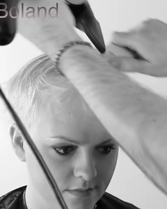 Would you use clippers or scissors for this cut? | Free Salon Education