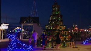Lobster trap holiday tree lights up in Key West