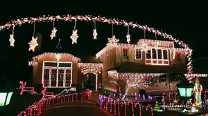 A December Bride 2016(2)