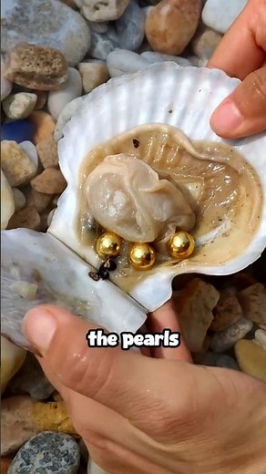 How cultured pearls are made