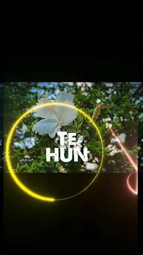 Jhol | Afusic ft. Talwiinder | Chill Lofi Short | Trending Hindi Punjabi Song